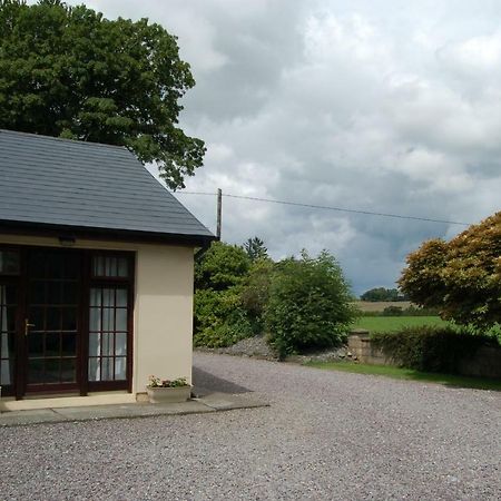 Ferienwohnung Inisfail Killarney Exterior foto
